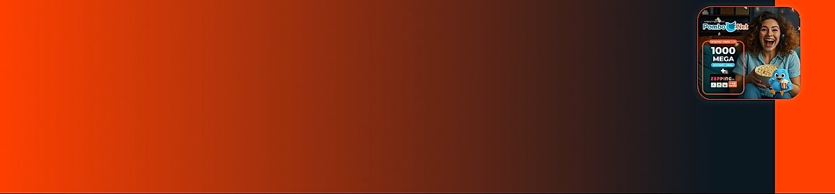 Imagem promocional da PomboNet com destaque para internet fibra óptica